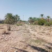 زمین-کشاورزی-روستای-سیرمند-شهرک