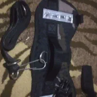 قلاده سگ