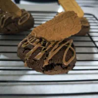 کوکی گردو پسته شکلات لوتوس اورئو