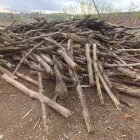 چوب|خدمات باغبانی و درختکاری|زنجان, |دیوار