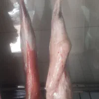 سوپر گوشت شهرام