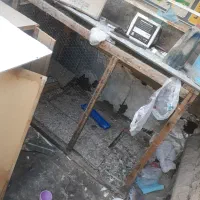 قفس چوبی بزرگ مرغ و کبوتر