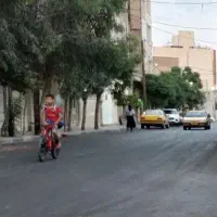 51متر-سند-تک-برگ