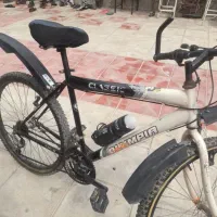 دو عدد دوچرخه