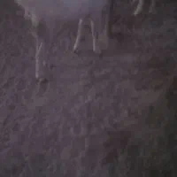 کهره ماده