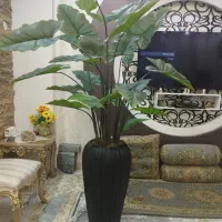 گل مصنوعی بابا آدم با گلدان