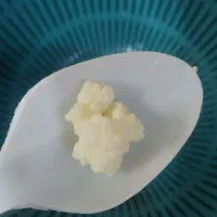 کفیر شیر و قارچ کامبوجیا