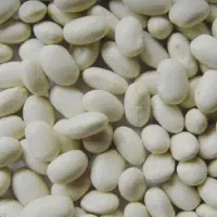 بذر لوبیا سفید رقم درختی و بذر شنبلیله
