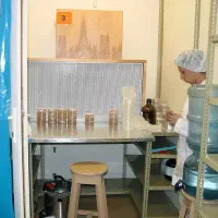 اموزش تضمینی تولید بذر تمام قارچها با اموزش ساده