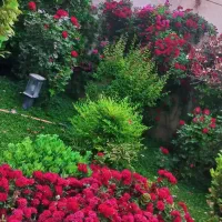استخدام نیرو برای گلفروشی وگلکاری