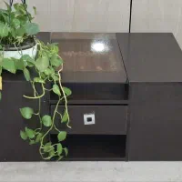 جلو مبلی و ۴عددعسلی