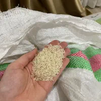 برنج درجه ۱ اعلا هاشمی