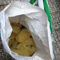 نوره اصل