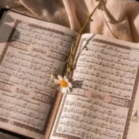 سرکتاب نتیجه فوری