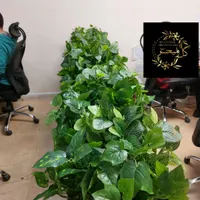 اجرا بوته برگ (فوتونیا،برگ مو)،برای باکس|گل مصنوعی|تهران, بازار|دیوار