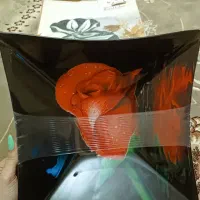 ظرف|ظروف سرو و پذیرایی|دزفول, |دیوار