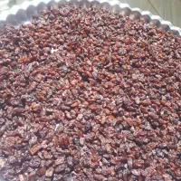 کشمش و مویز درجه یک با پیک رایگان