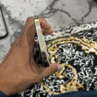 13 pro max|موبایل|زاهدان, |دیوار