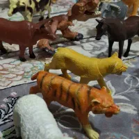عروسک