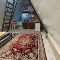 خانوم برای اشپزی امور منزل