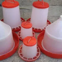 دانخوری و ابخوری مرغ