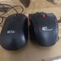 دوعددموس سالم