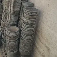 گلدان گلخانه ای