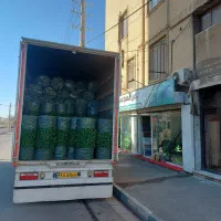 پخش فنس چمنی و فنس برگی سبز و رنگی