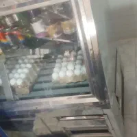 یخچال فریزر