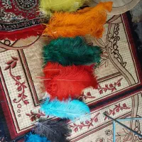 پر علامت