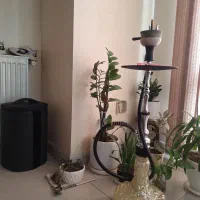 قلیان موسو