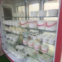 فروش عمده ماست ودوغ وشیر