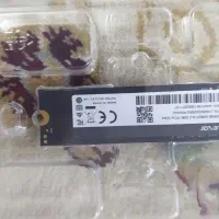 اس اس دی nvme m.2 ssd نو ۲۵۶
