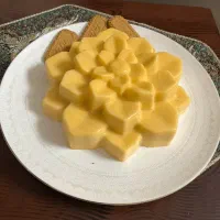 ژله ودسر