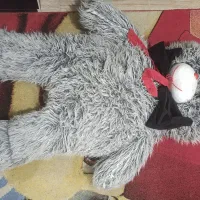 عروسک خرس بزرگ
