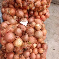 پیازشیشه ی سالم سالم