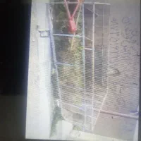 باربند کاه