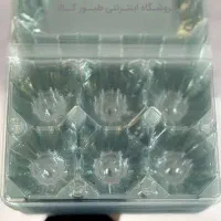 ظرف شانه تخم مرغی ۶ تایی یکبار مصرف