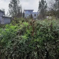 علف زنی(چمن)بادستگاه چندکاره وسم پاشی.باتخفیف عالی