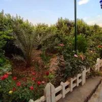 نظافتچی خانم خوش اخلاق مسئولیت پذیر برای کار ساعتی
