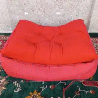 جای خواب سگ
