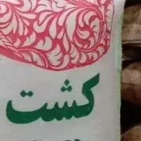حبوبات