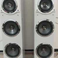 باند نو درحد