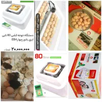 دستگاه جوجه کشی ایزی باتور4(80تایی تمام اتوماتیک)