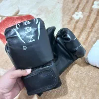 دستکش بوکس، کاراته و...