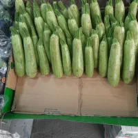 نیروی کار وارد