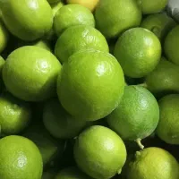 لیمو درجه یک  و نوبرانه
