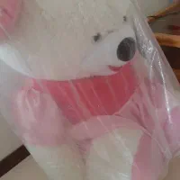 خرس عروسکی نو