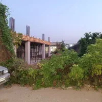 مشارکت