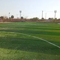 نصاب چمن مصنوعی ورزشی وتزیینی